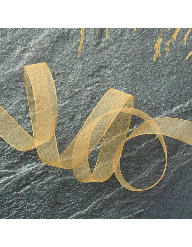 Nastro organza - Beige