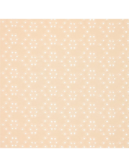 Tessuto ricamato inglese elasticizzato - Beige chiaro