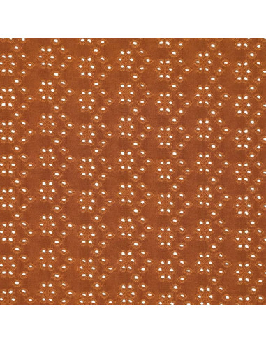Tessuto ricamato inglese elasticizzato - Nocciola