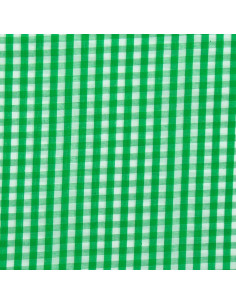Tessuto popeline di cotone - Vichy grandi quadri - Verde 2