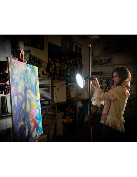 Lampada da studio per artisti Daylight 2