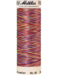 Filo da ricamo Mettler Polysheen multicolore
