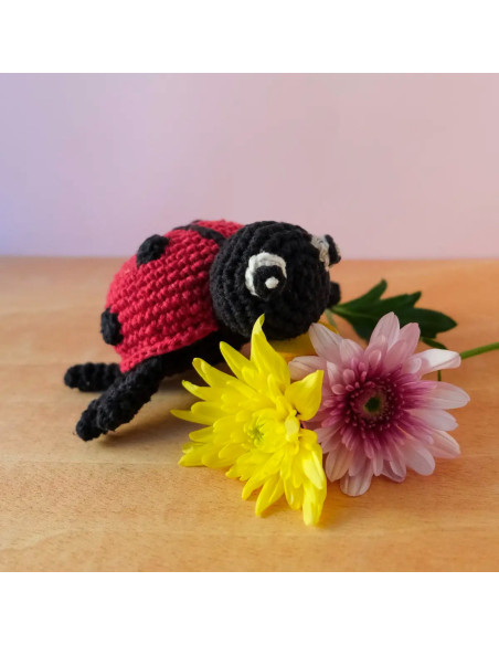 Kit uncinetto - Daisy la coccinella