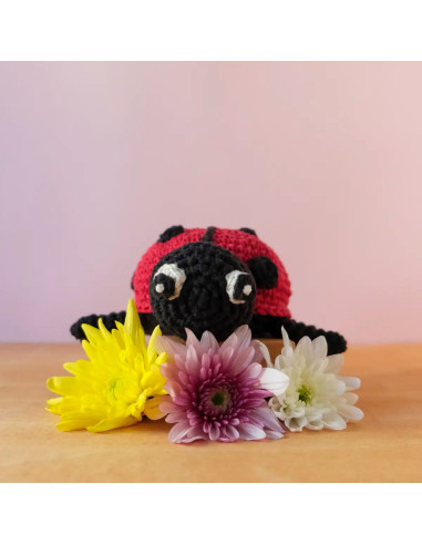 Kit uncinetto - Daisy la coccinella