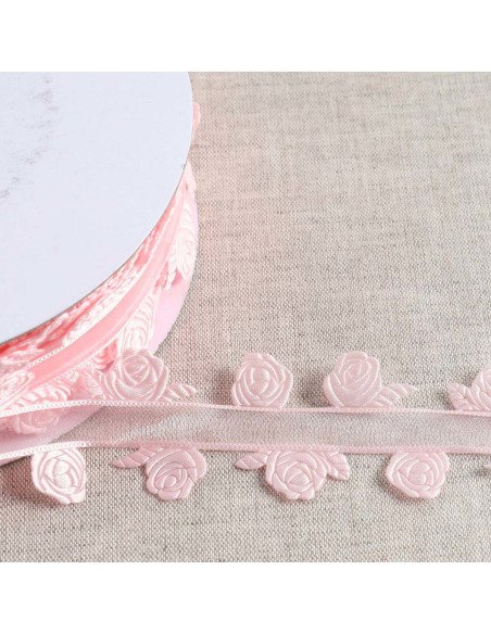 Nastro e rose - Rosa
