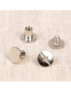 8 set di viti chicago 10 mm x 6 mm - Argento