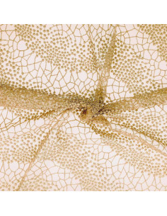 Tessuto pizzo Mila - Beige