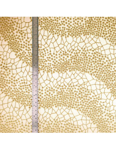 Tessuto pizzo Mila - Beige 2