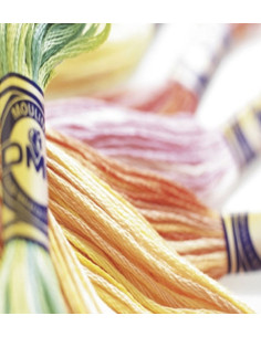 Filo da ricamo Mouliné Variations DMC