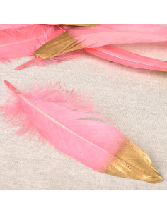 Set di 10 penne con finitura dorata - Rosa