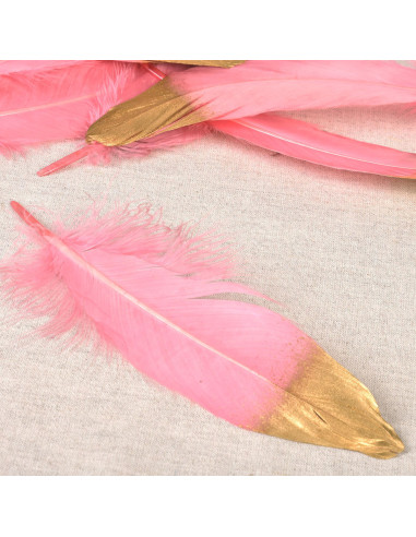 Set di 10 penne con finitura dorata - Rosa