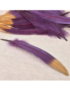 Set di 10 penne con finitura dorata - Viola