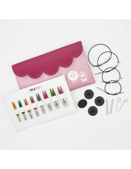 Set di ferri circolari mini KnitPro Dreamz