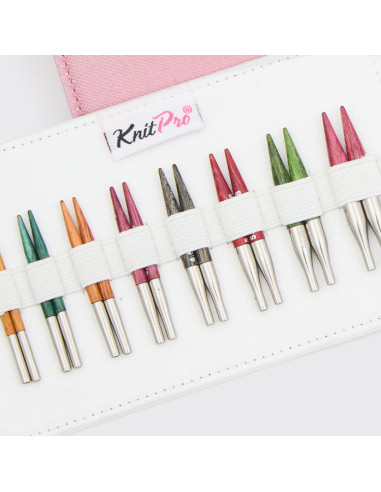 Set di ferri circolari mini KnitPro Dreamz