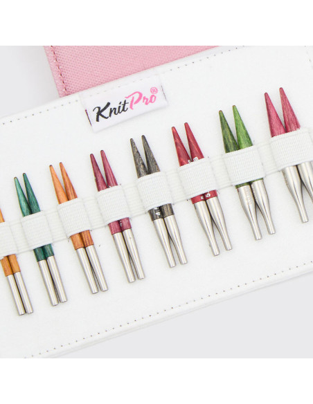 Set di ferri circolari mini KnitPro Dreamz