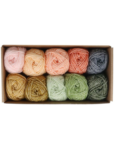 Confezione di 10 gomitoli Scheepjes Stone Washed Colour Pack - Intentions