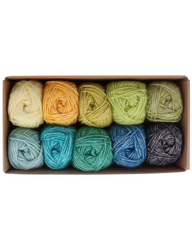 Confezione di 10 gomitoli Scheepjes Stone Washed Colour Pack - Grounding