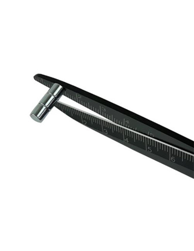 Guida magnetica per forbici