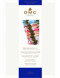 Tavolozza 500 colori mouliné e perlato DMC