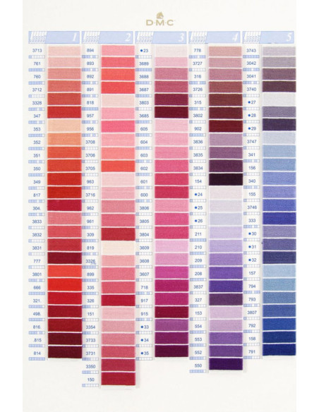 Tavolozza 500 colori mouliné e perlato DMC