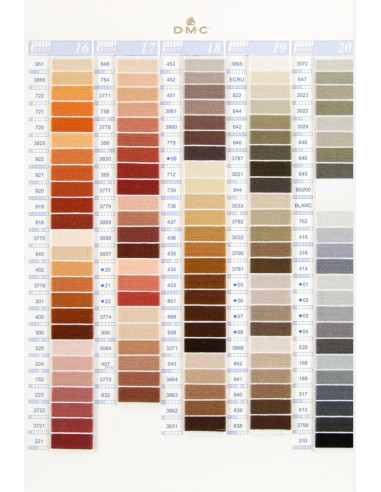 Tavolozza 500 colori mouliné e perlato DMC