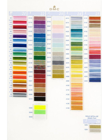 Tavolozza 500 colori mouliné e perlato DMC