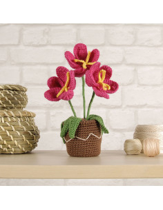 Kit amigurumi - Vaso di fiori