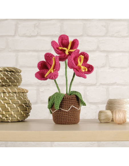 Kit amigurumi - Vaso di fiori