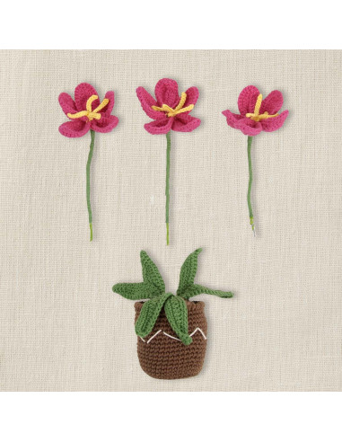 Kit amigurumi - Vaso di fiori