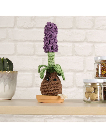 Kit amigurumi - Giacinto