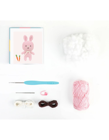 Kit amigurumi - Renée il coniglio