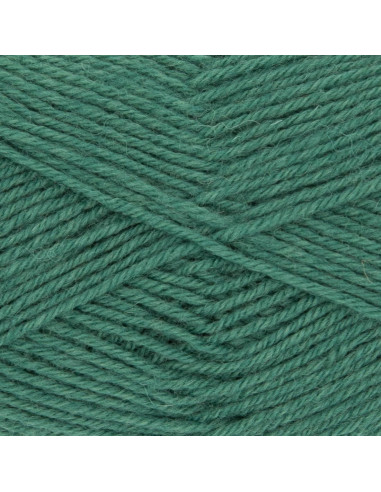 Filato per calze Hot Socks uni 50 Gründl
