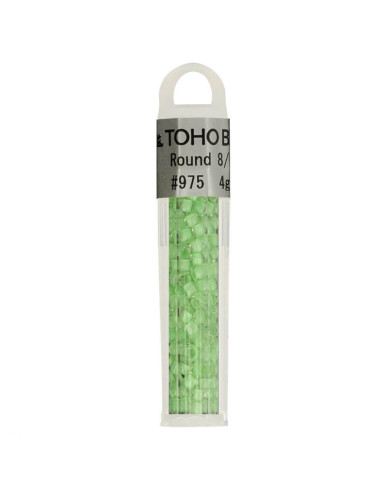 Perles en verre 8/0 Toho