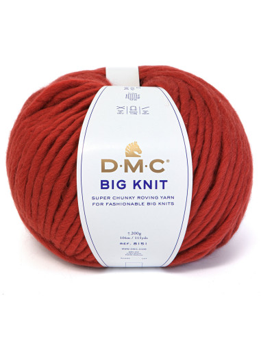 Filato Big knit 5 DMC