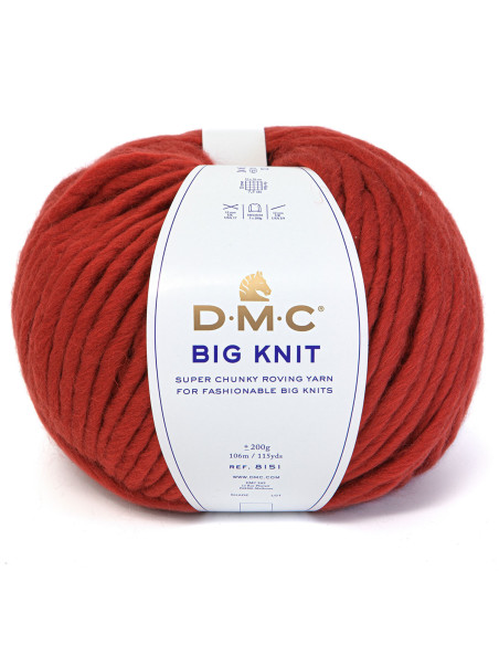 Filato Big knit 5 DMC