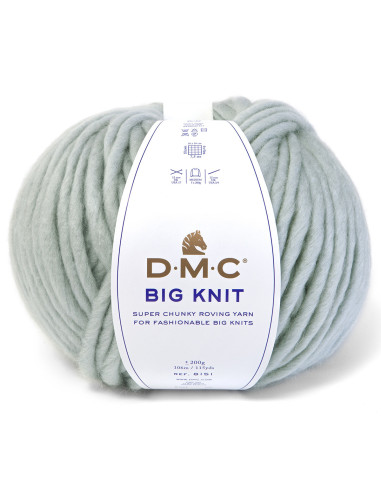 Filato Big knit 5 DMC