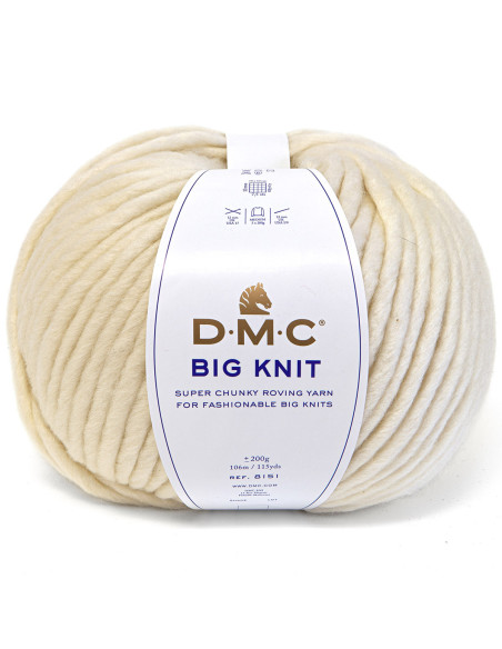 Filato Big knit 5 DMC