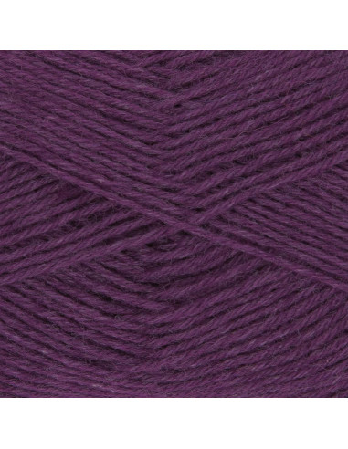 Filato per calze Hot Socks uni 50 Gründl