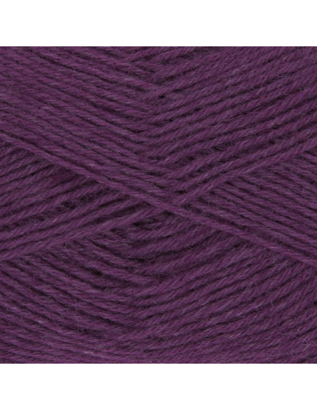Filato per calze Hot Socks uni 50 Gründl