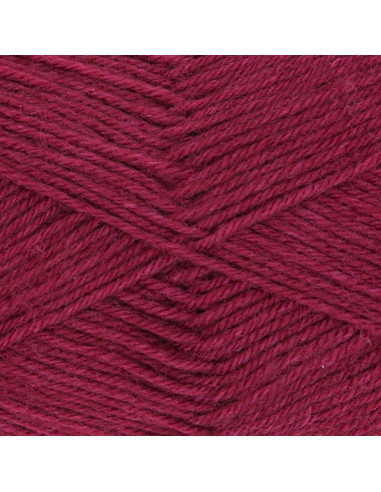 Filato per calze Hot Socks uni 50 Gründl