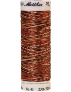 Filo da ricamo Mettler Polysheen multicolore 2