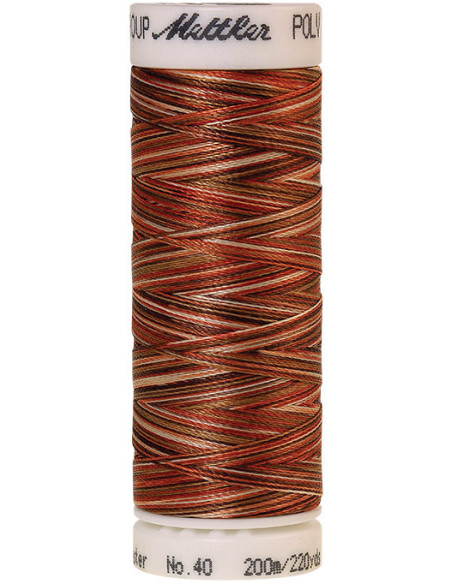 Fil à broder Poly sheen multicolor Mettler