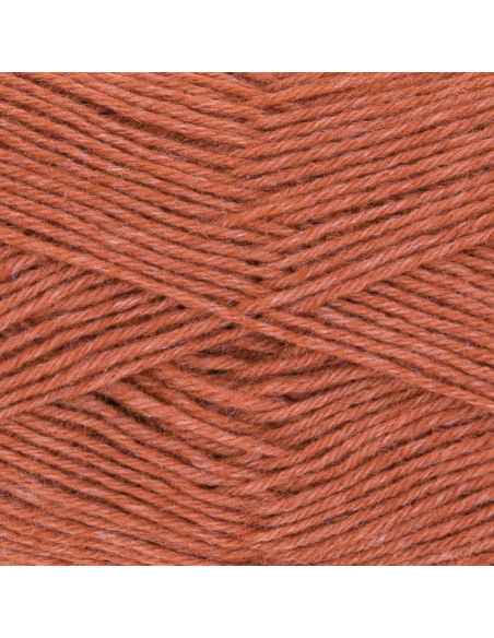 Filato per calze Hot Socks uni 50 Gründl
