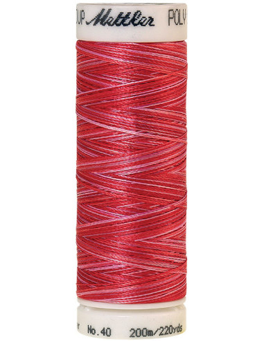 Fil à broder Poly sheen multicolor Mettler