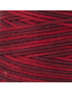 Filo sashiko sfumato hidamari Lecien Cosmo 30 m 2