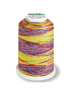 Cono di filo mousse Madeira Aeroflock Multicolor 1000 m 2