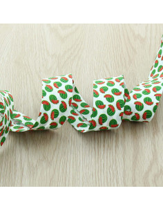 Biais fruits - Anguria 2