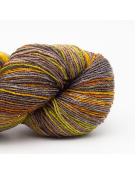Filato per calze Lazy Lion Kremke