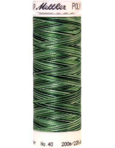 Fil à broder Poly sheen multicolor Mettler