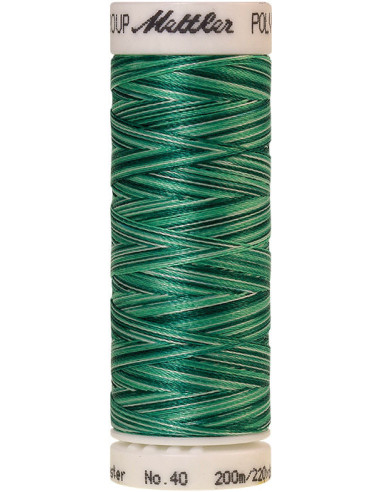Fil à broder Poly sheen multicolor Mettler